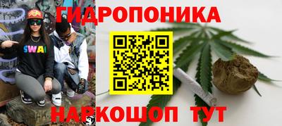 прущий лед Будённовск