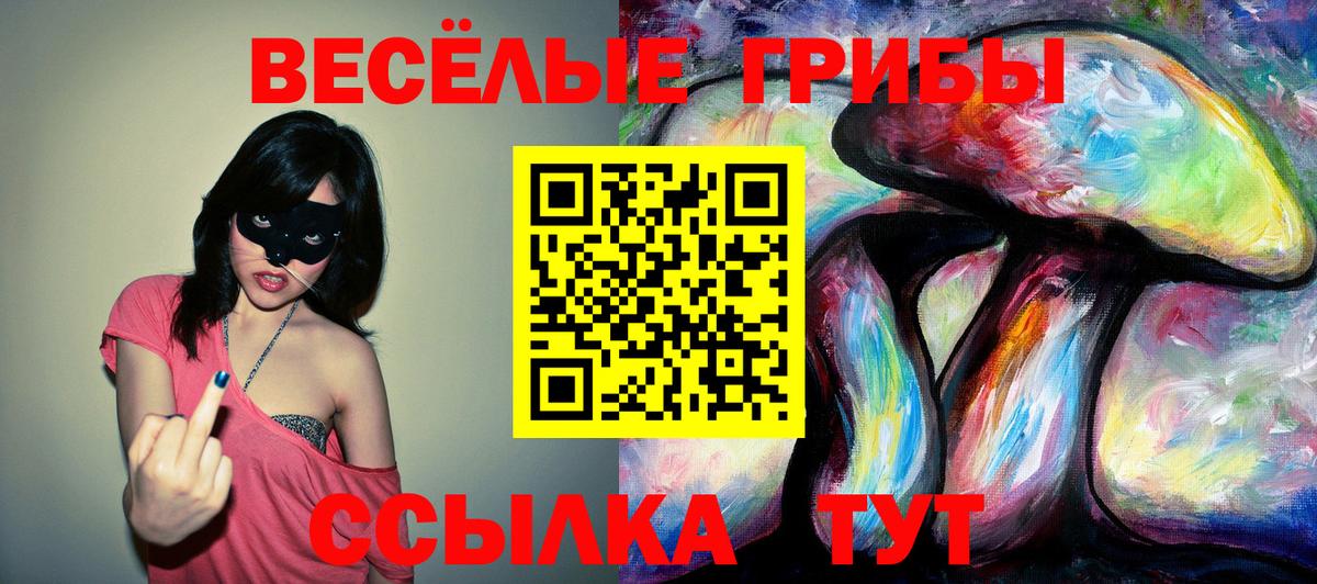 Псилоцибиновые грибы Psilocybine cubensis Минусинск
