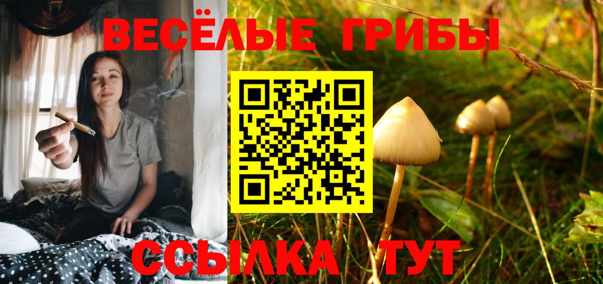 Галлюциногенные грибы MAGIC MUSHROOMS  Вход с VPN  Минусинск 